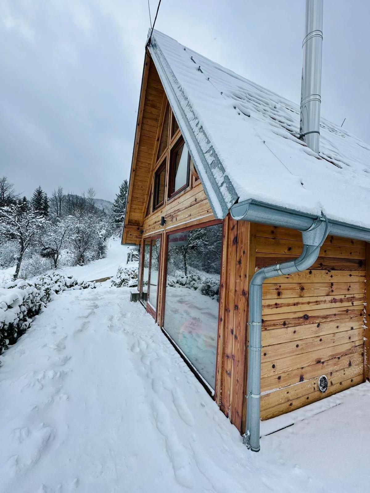 Zaovinska Idila Villa