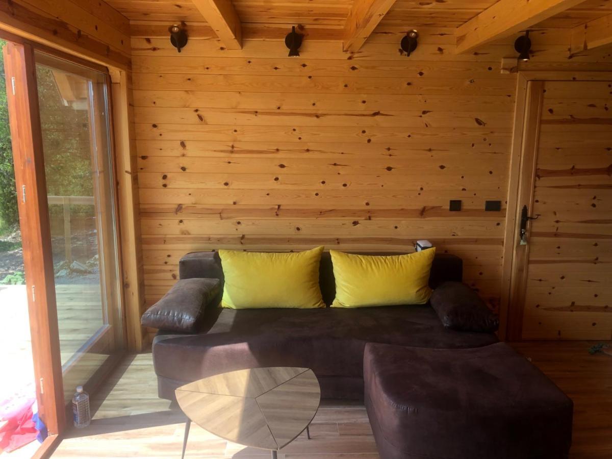 Zaovinska Idila Villa Bjelusa