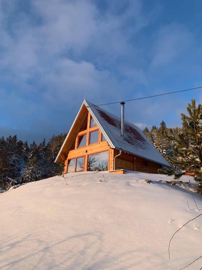 Villa Zaovinska Idila *